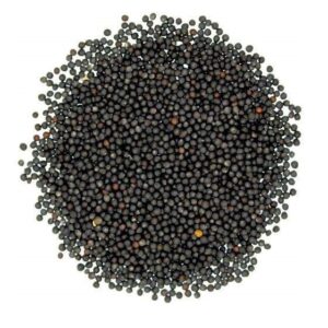 Black Musturd Seeds ( Kala Rai Sarso )